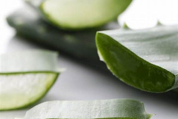Perawatan Rambut Bergelombang Bahan Herbal